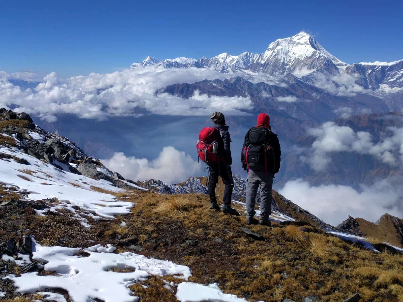 Khopra Ridge Trek: Panoramic View of Snow-Capped Peaks and a Clear Blue Sky