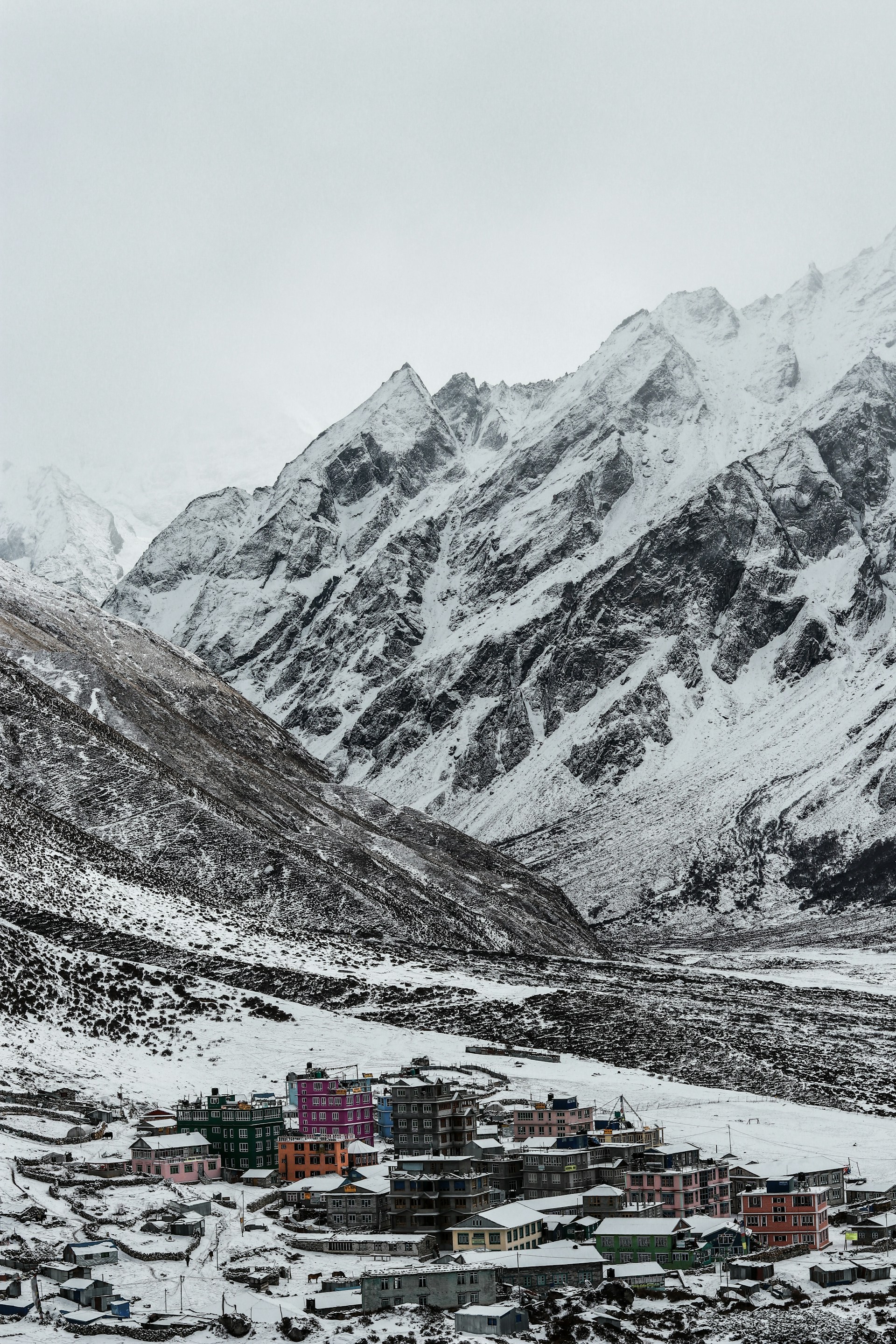 Vibrant Langtang Valley Village - Nepal Trekking