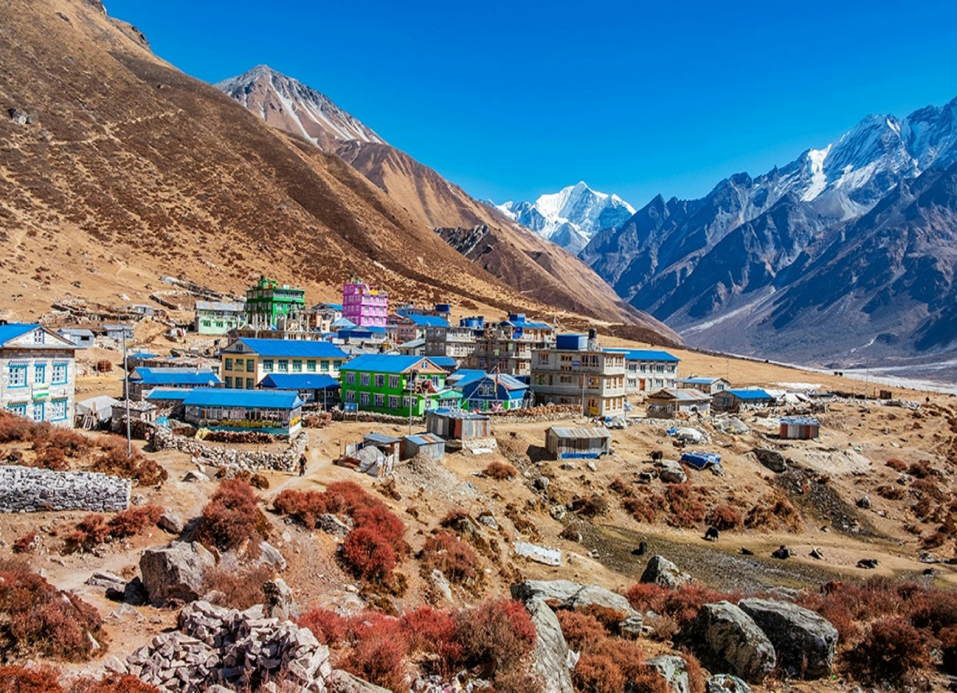 Snowy Langtang Village - Winter Himalayas Trek