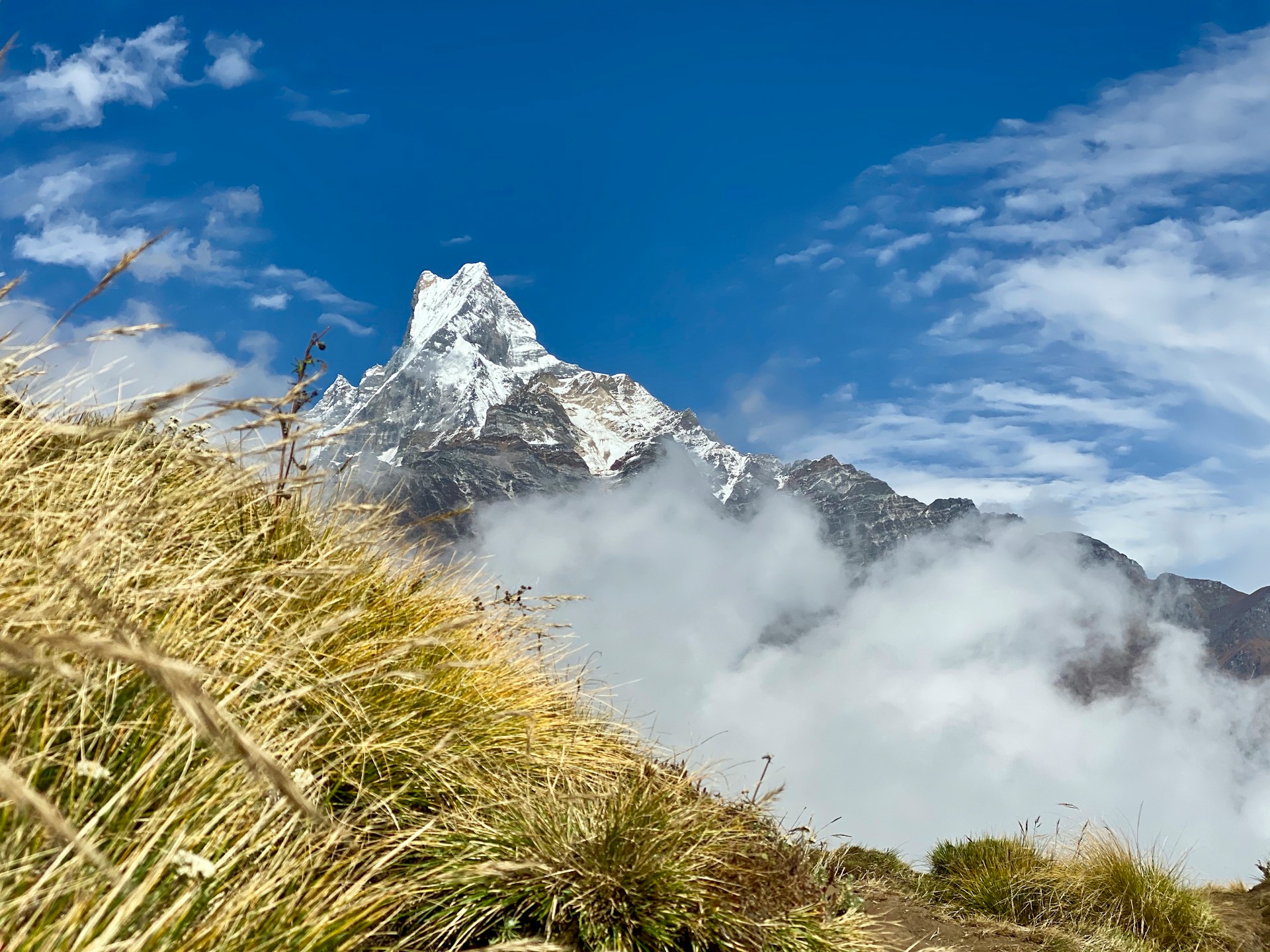 Majestic Mardi Himal