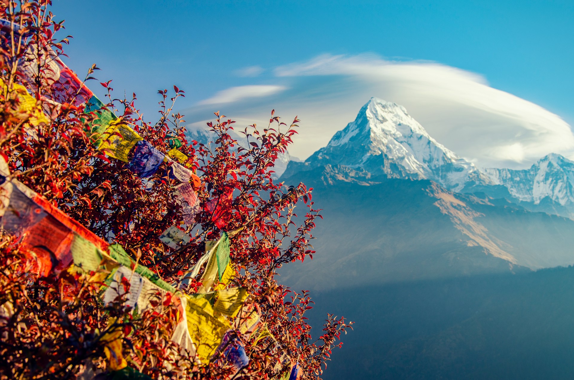 Annapurna's Sacred Summit